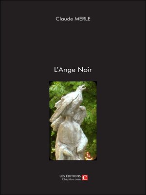 cover image of L'Ange Noir